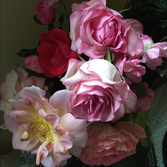 Meet your Posher, Melinda - Picture 3 of 5